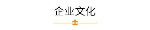 某某企業(yè)文化